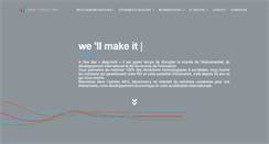 Desktop Screenshot of mlg-consulting.com